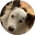 Kathi E Avatar